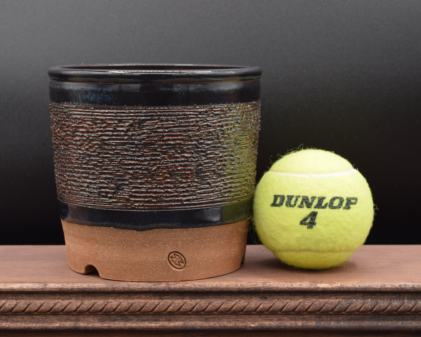 Succulent Planter - Cup