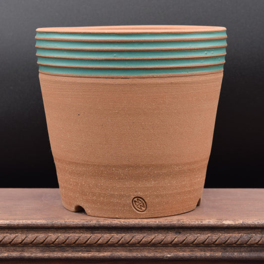 Succulent Planter - Cup