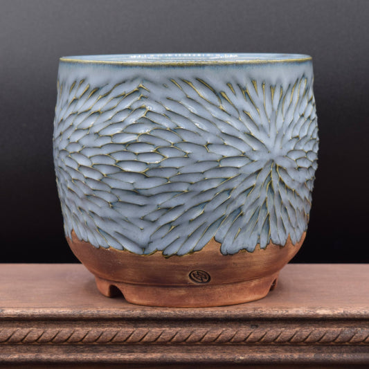 Succulent Planter - Cup