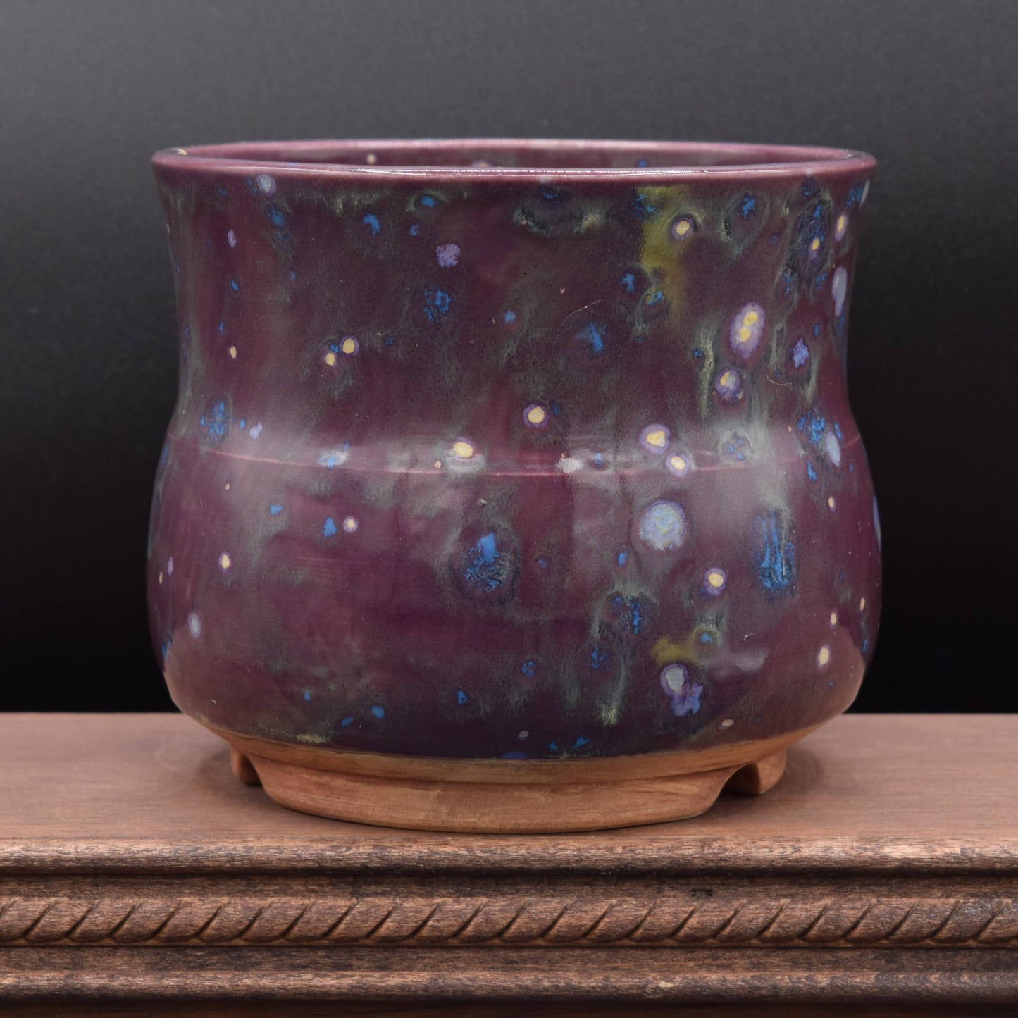 Succulent Planter - Cup