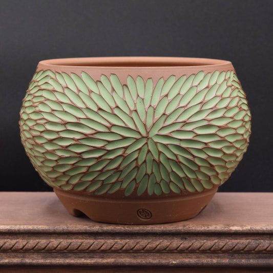 Succulent Planter - Medium