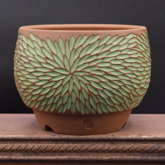 Succulent Planter - Medium