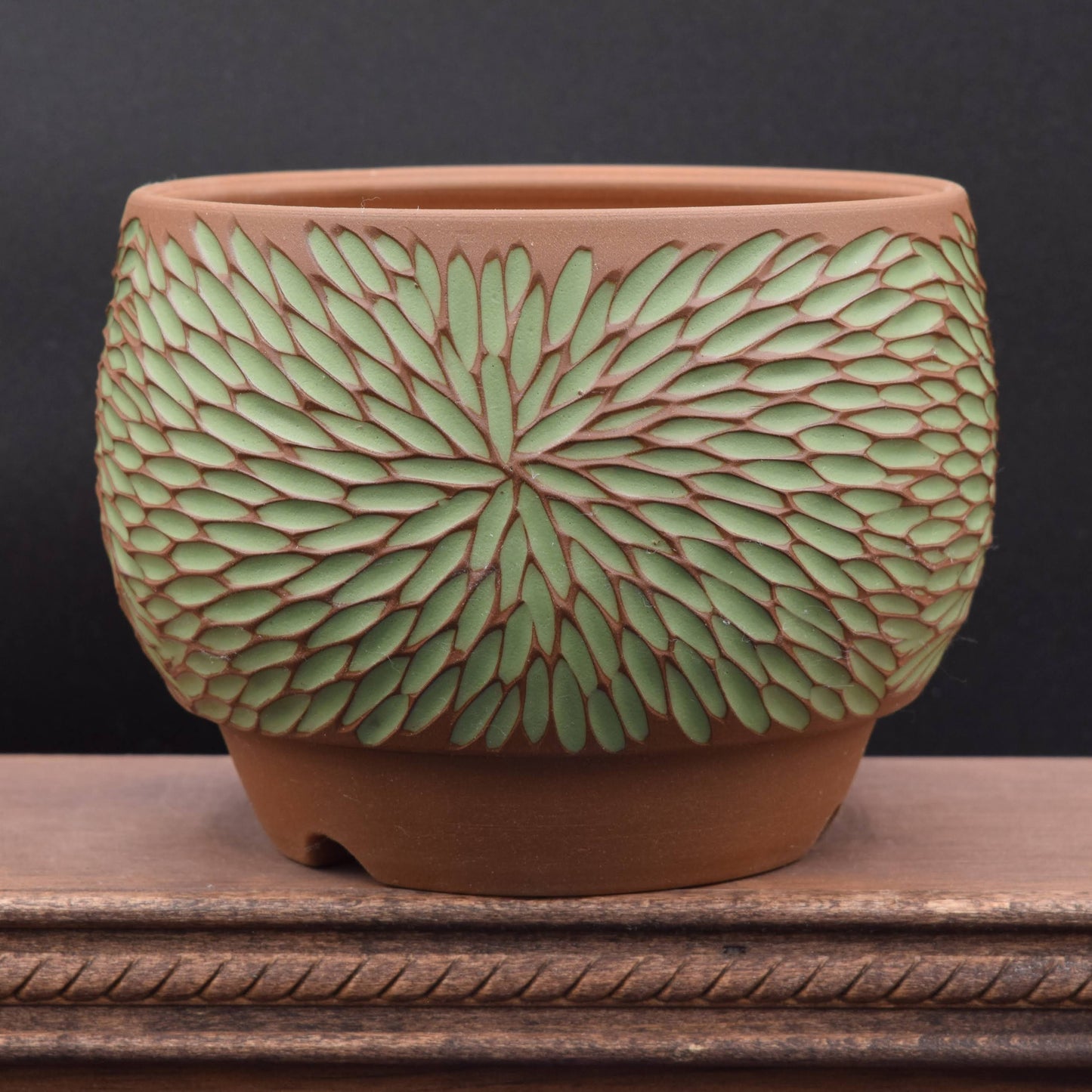 Succulent Planter - Medium