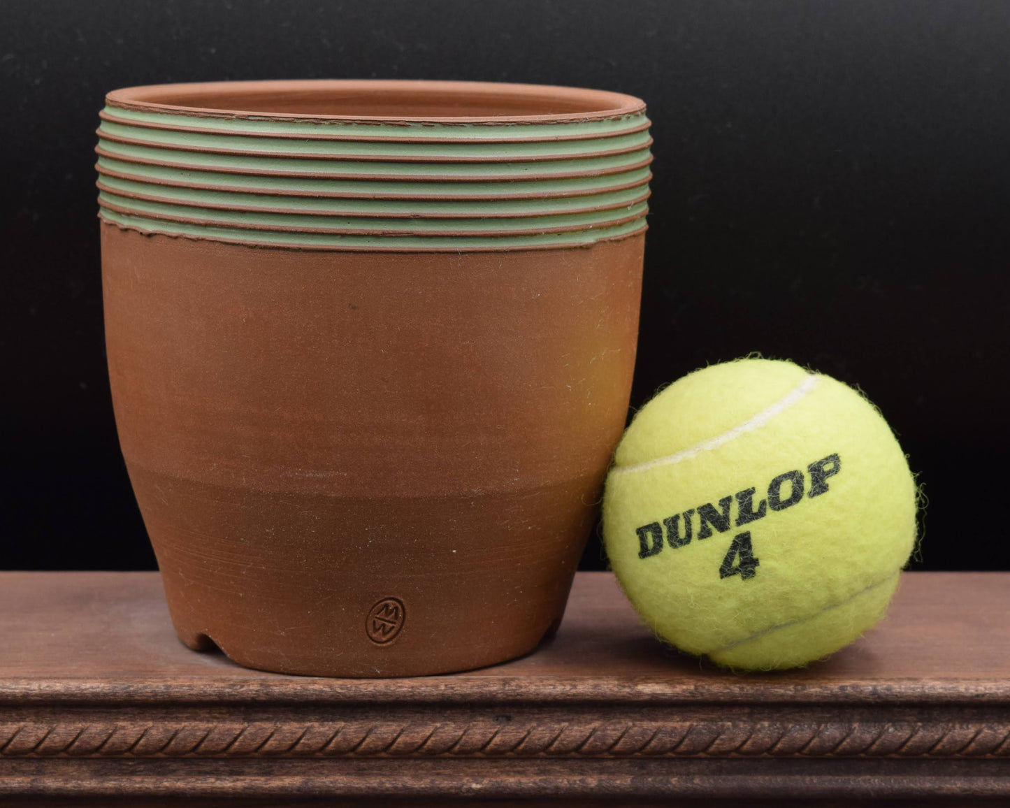 Succulent Planter - Cup