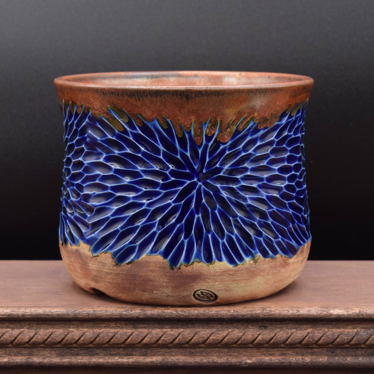 Succulent Planter - Cup