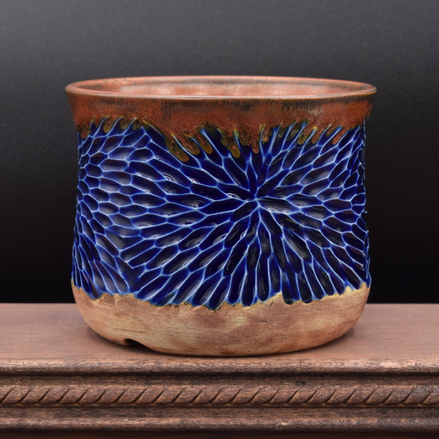 Succulent Planter - Cup