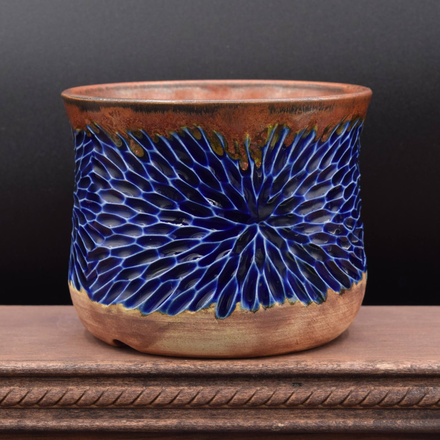 Succulent Planter - Cup