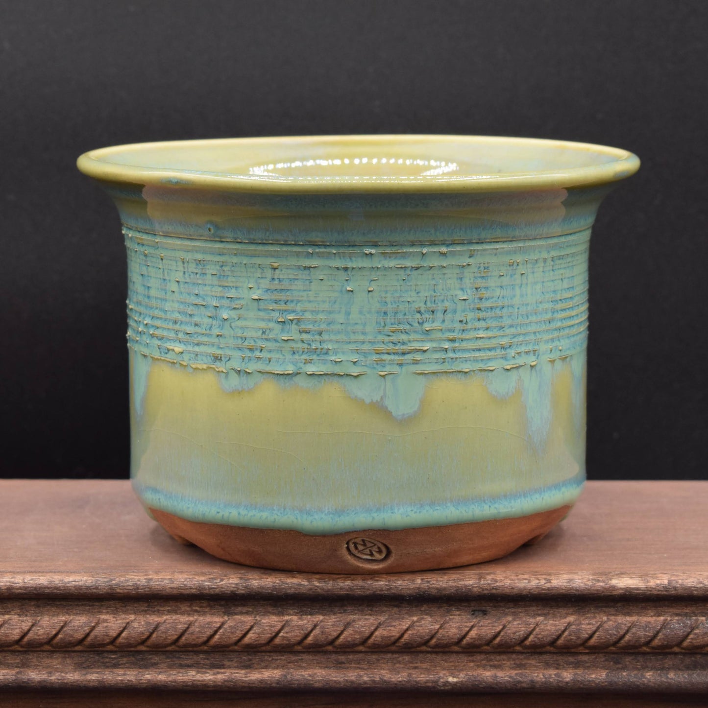 Succulent Planter - Cup