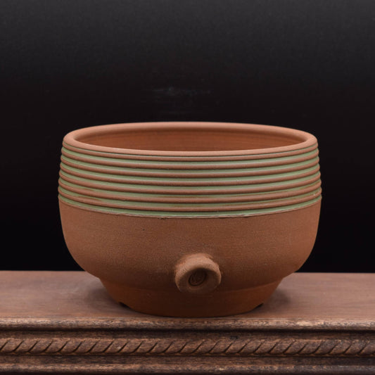 Succulent Planter - Cup