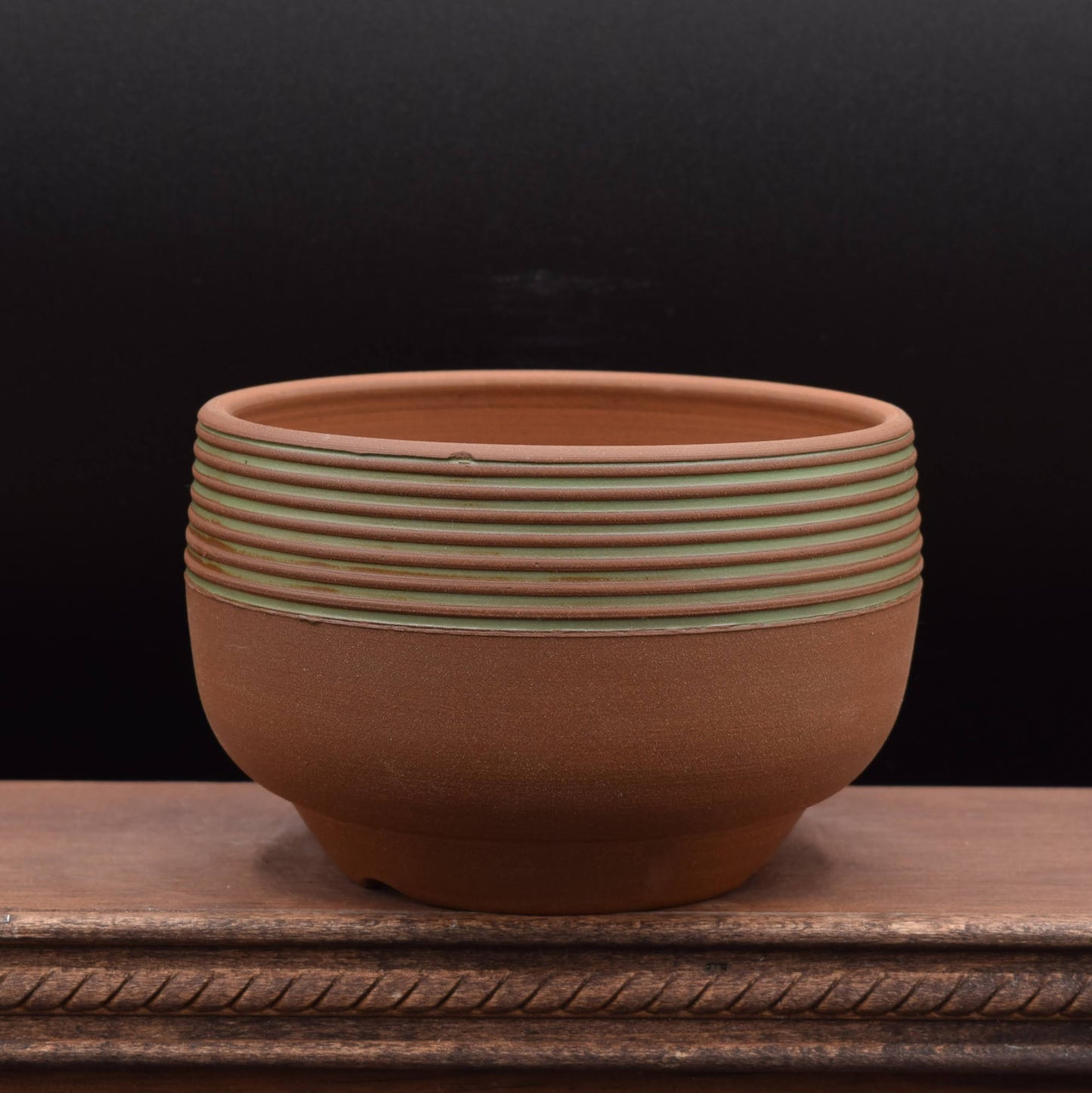 Succulent Planter - Cup