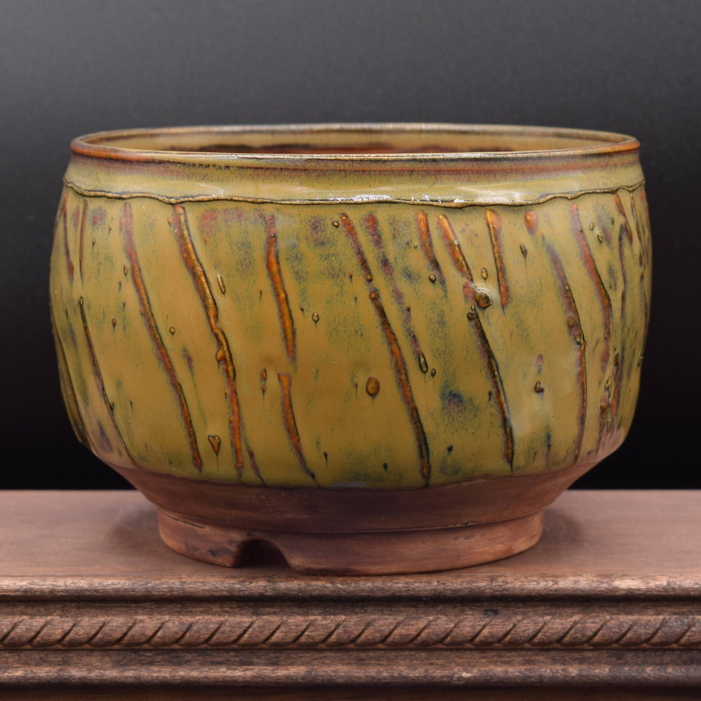 Succulent Planter - Medium