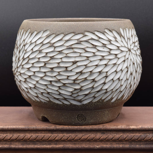 Succulent Planter - Medium