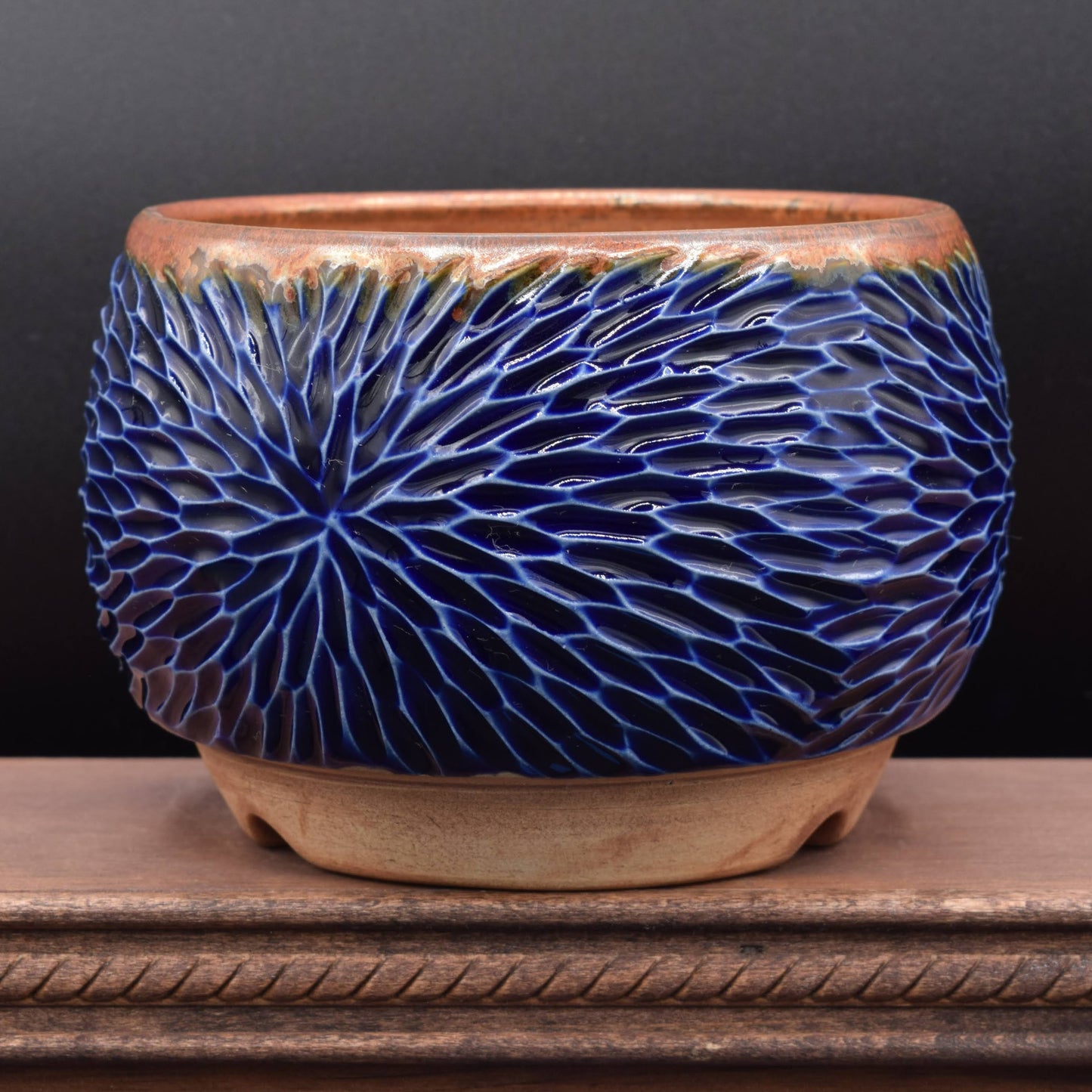 Succulent Planter - Medium