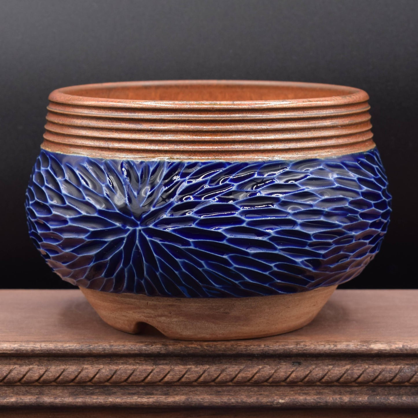 Succulent Planter - Medium