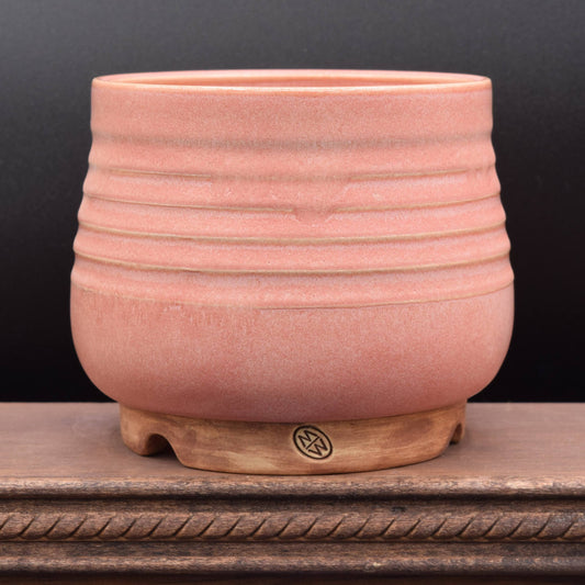 Succulent Planter - Small