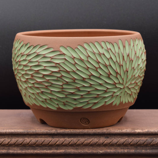 Succulent Planter - Small