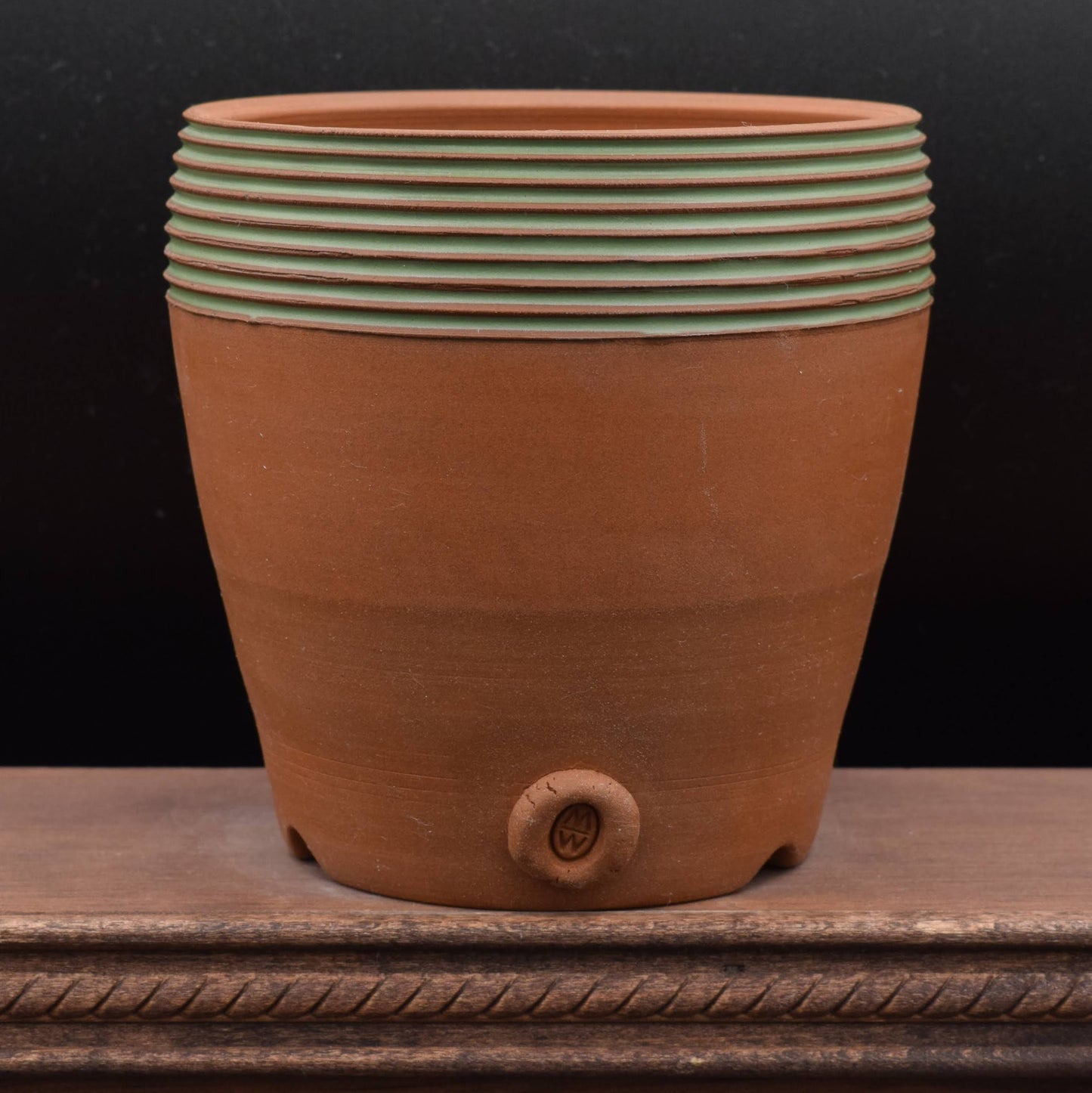 Succulent Planter - Cup