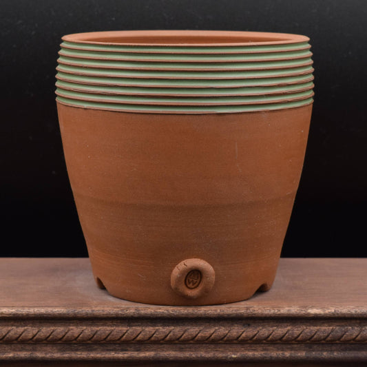 Succulent Planter - Cup