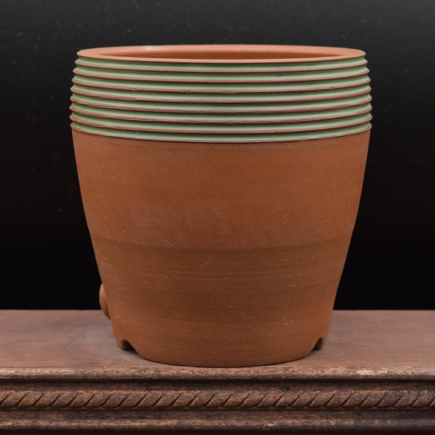 Succulent Planter - Cup