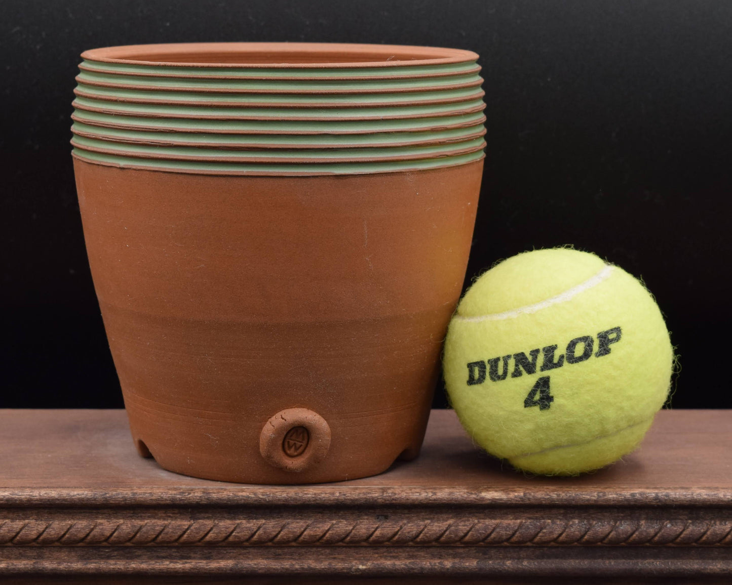 Succulent Planter - Cup