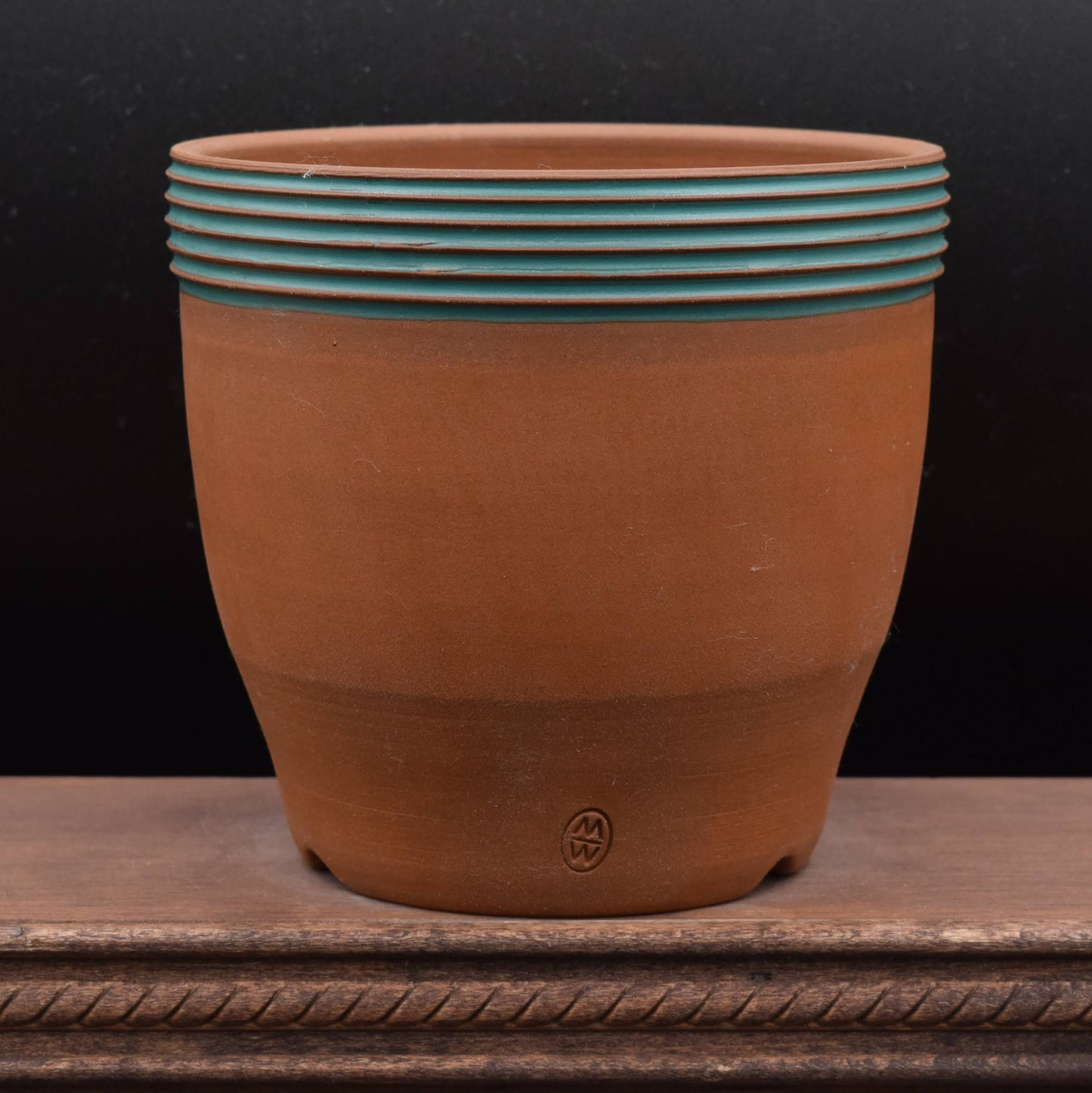 Succulent Planter - Cup