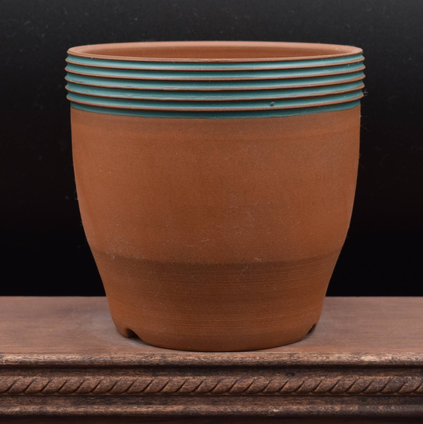 Succulent Planter - Cup