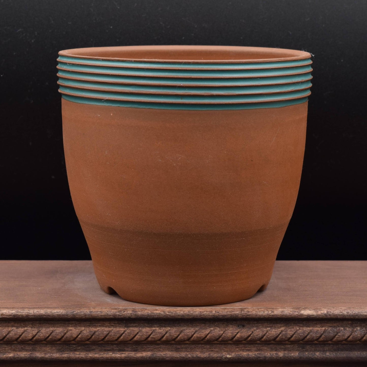 Succulent Planter - Cup