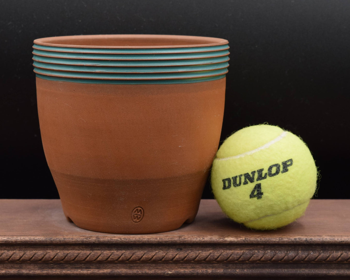 Succulent Planter - Cup