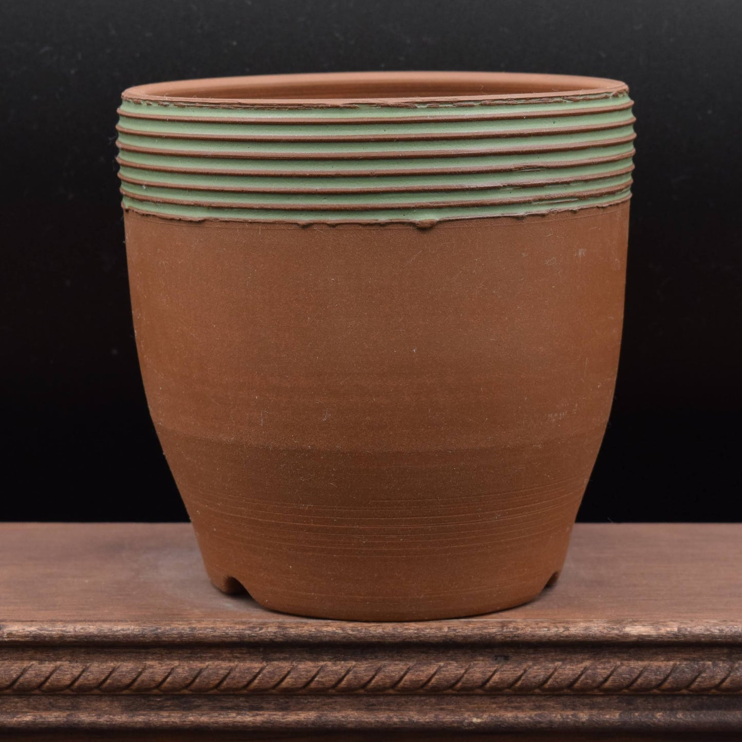 Succulent Planter - Cup